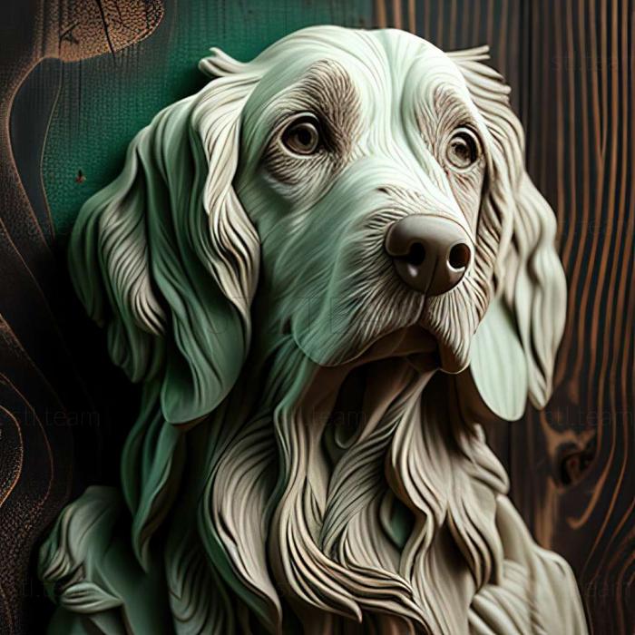 English Setter dog